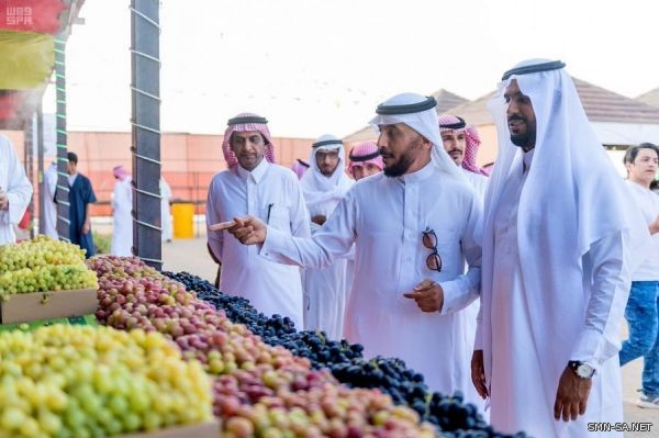 مزراعو العنب يبدؤون تسويق ٢٠٠ ألف طن في مهرجانهم السنوي بالصلبية