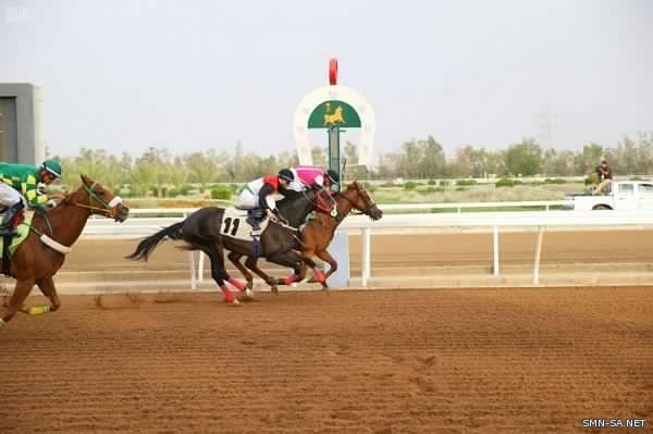 نادي الفروسية يقيم حفل سباقه الـ15 ضمن موسم سباقات الخيل للمصيف بالطائف