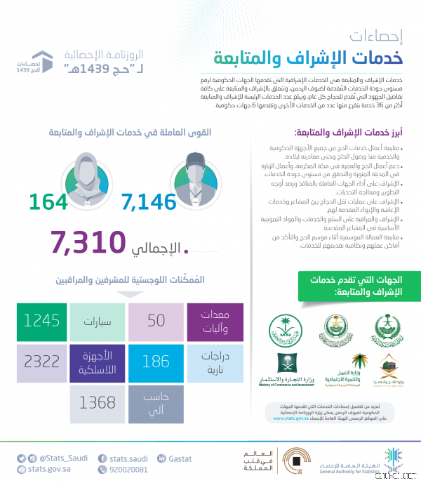 الإحصاء : ستُّ جهات حكومية تتكامل لتُقدِّم خدمات الإشراف والمتابعة بهدف ضمان نجاح موسم حج 1439هـ