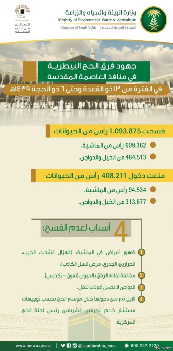 #البيئة : فسح أكثر من مليون رأس من الحيوانات في منافذ العاصمة المقدسة خلال (3) أسابيع