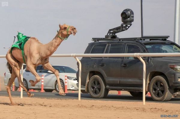 التقنية الحديثة تحسم أكثر الأشواط إثارة و(شاهين) يدخل نجومية مهرجان ولي العهد للهجن