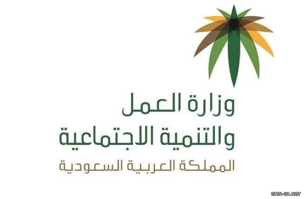 #العمل الجولات التفتيشية تضبط 2120 مخالفة لقرار توطين قطاع الاتصالات وتنذر 1573 منشأة أخرى