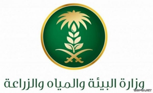 البيئة تنجز 73% من مبادرة تأهيل المدرجات الزراعية وحصاد المياه في الطائف