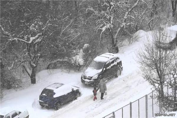 عواصف ثلجية غير موسمية تشيع الفوضى في وسط فرنسا