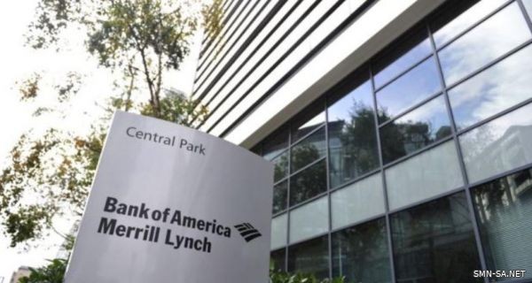 Bank of America المستثمرون يضخون المليارات في أسهم وسندات وأصول الأسواق الناشئة