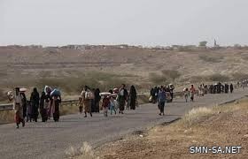 الحكومة اليمنية تنتقد تجاهل منسقة الشؤون الإنسانية قصف الانقلابيين الحوثيين لمخيم النازحين في حرض