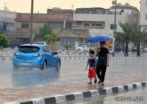 تعليم تبوك يعلق الدراسة في تبوك وضباء والمراكز التابعة لهما