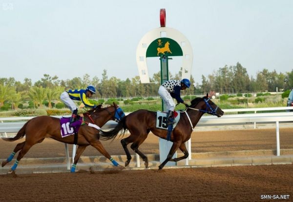 نادي الفروسية يقيم حفل سباقه الخامس ضمن موسم سباقات الخيل للمصيف بالطائف