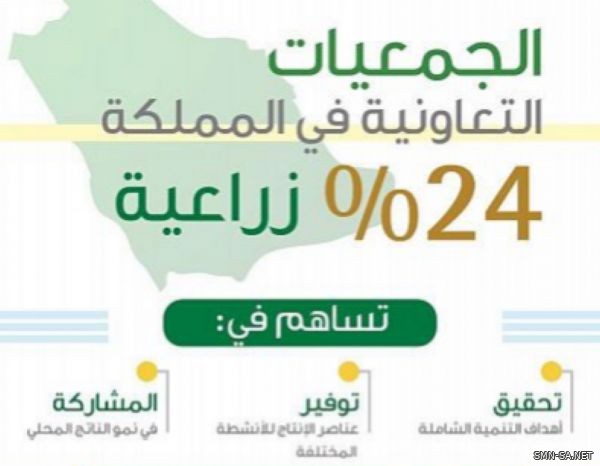 24% من الجمعيات التعاونية في المملكة "زراعية".. مدعومةٌ من "البيئة"