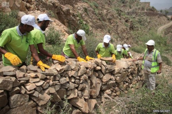 الاستصلاح الزراعي بلحج ضمن مشروع تحسين سبل العيش الذي يموله مركز الملك سلمان للإغاثة