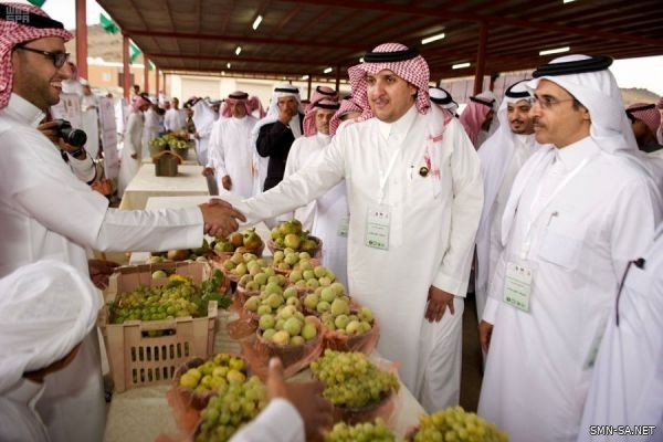 رئيس مركز الماوين يفتتح مهرجان العنب والفواكه الموسمية ببللحمر