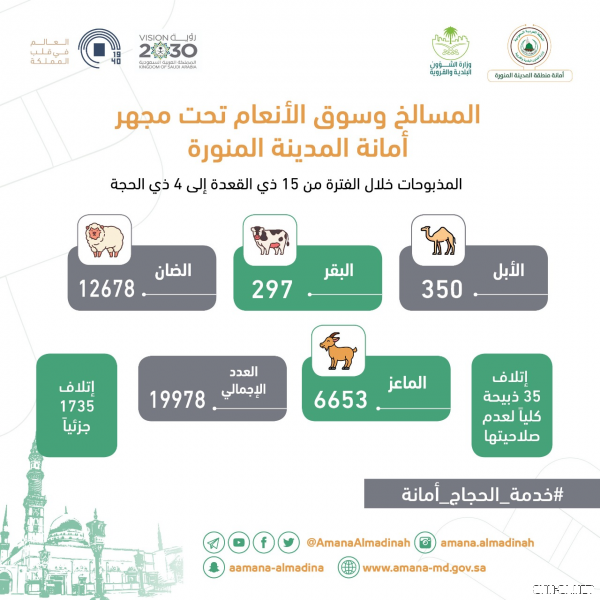 أمانة المدينة المنورة تتيح الذبح لـ 37 مطبخ مرخص لاستيعاب الطلب الكبير