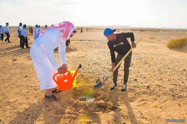 غرس 10 الآف شجرة على جنبات الطريق الدولي للقادم من حالة عمار