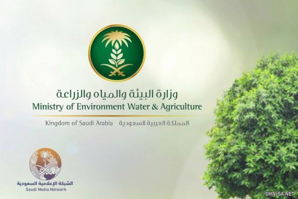 "البيئة" تكافح أسراب الجراد الأحمر بالساحل الجنوبي الغربي القادمة من شرق إفريقيا