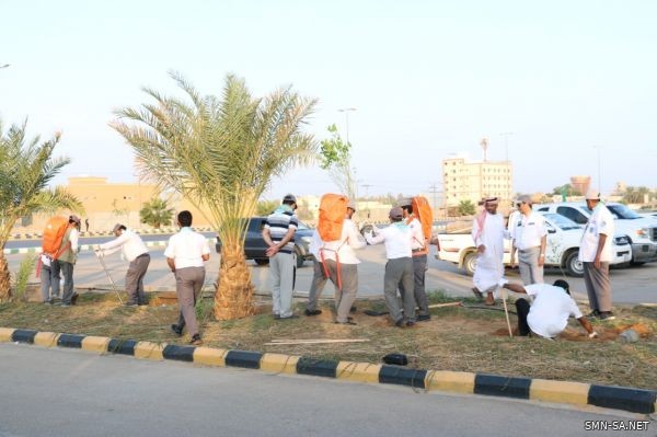 قيادات كشافة وادي الدواسر يغرسون الأشجار بمناسبة اليوم العالمي للتطوع