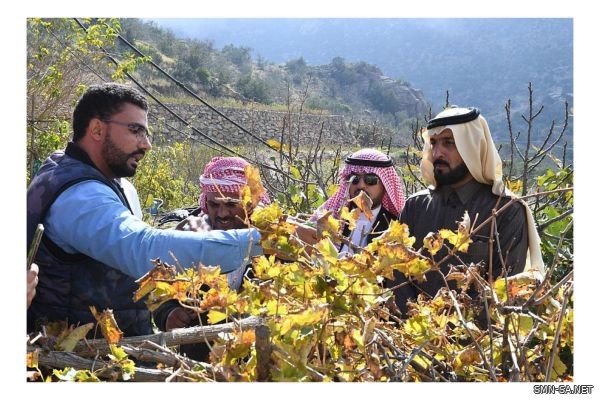 " البيئة بالطائف " .. تنفذ حملة "أخدمها" الإرشادية الزراعية