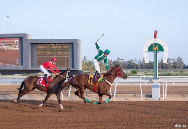 نادي سباق الخيل يقيم بالطائف حفل سباقه الرابع عشر على كأس وزارة التعليم بالطائف