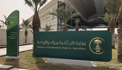 "البيئة" تودع أكثر من 118 مليون ريال لدعم المواشي ضمن برنامج الإعانات الزراعية