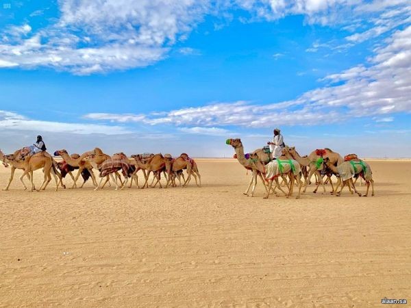 نجران .. بوابة سياحية لاستكشاف الربع الخالي