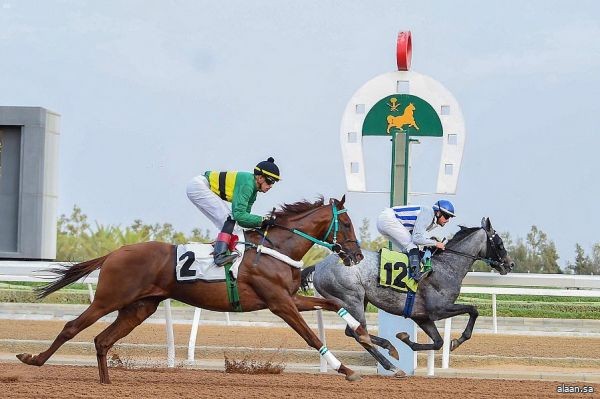 الطائف .. موسم سباقات الخيل للمصيف ينطلق الجمعة القادم