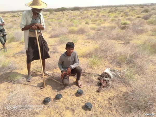 إصابة طفل بانفجار لغم حوثي بمحافظة حجة