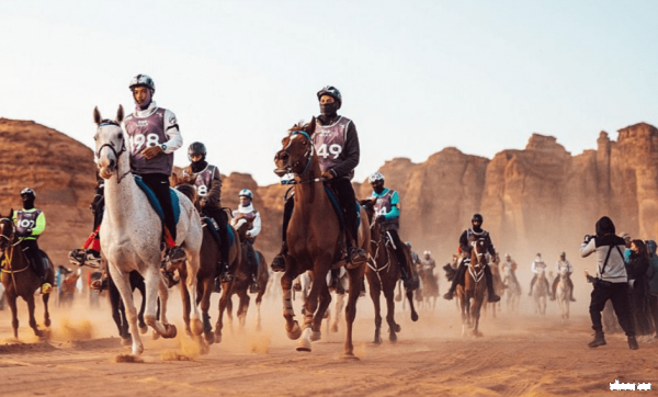 العُلا .. انعقاد المؤتمر الصحفي لـ منافسات بطولة كأس خادم الحرمين الشريفين الدولية للقدرة والتحمُّل"