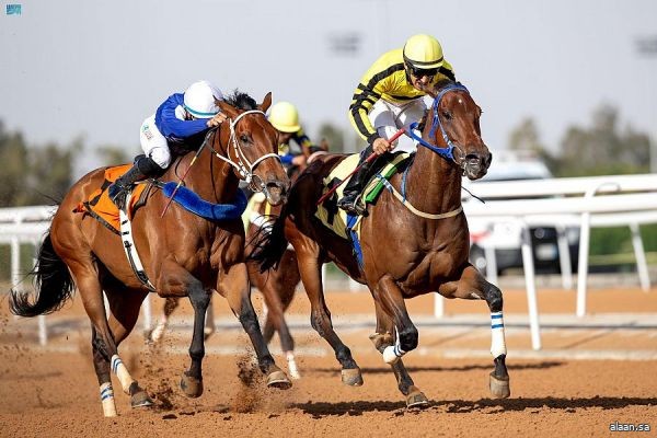 سباقات الخيل ينظِّمُ الحفلَ الـ (14) لموسم سباقات الطائف 2023‪م