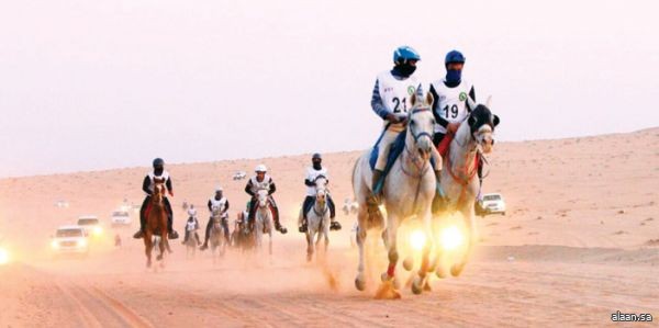 على ميادين قرية الفرسان الدولية  .. انطلاق كأس التحدي الدولي للقدرة والتحمل في العلا يوم غد