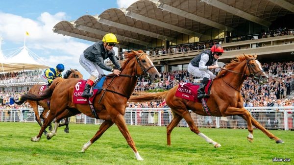 انطلاق فعاليات مهرجان قطر غودوود لسباقات الخيل في بريطانيا اليوم