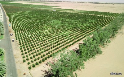 الزراعة المستدامة ..