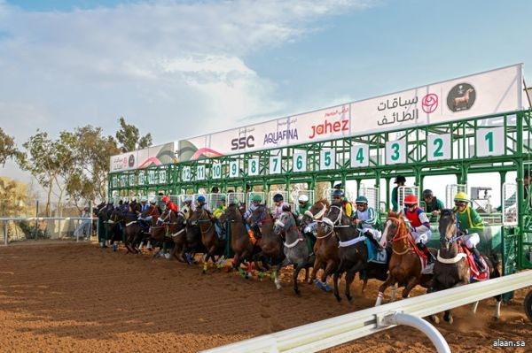 سباقات الخيل .. نجيب الزمان وسنافية بطلان لكأسي الفيصل والطائف