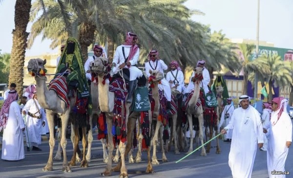 أصالة مُعاصرة وطابع رصين.. الهجانة أيقونة ثابتة تلازم جادة الإبل في نسخها المتعددة