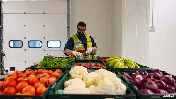 "البحر الأحمر الدولية" تدشن مركزًا لوجستيًا مستدامًا في جدة