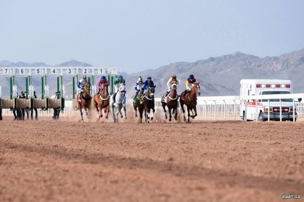 الجمعة المقبل .. 133 جوادًا تتنافس في أشواط الحفل السابع لـ "ميدان الفروسية" بالمدينة المنورة