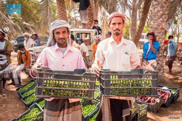 البرنامج السعودي لتنمية وإعمار اليمن يُسهم في دعم سُبل العيش في المحافظات اليمنية