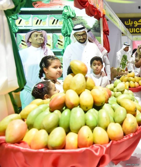 مهرجان المانجو والفواكه الاستوائية الثالث عشر بجازان يواصل فعالياته