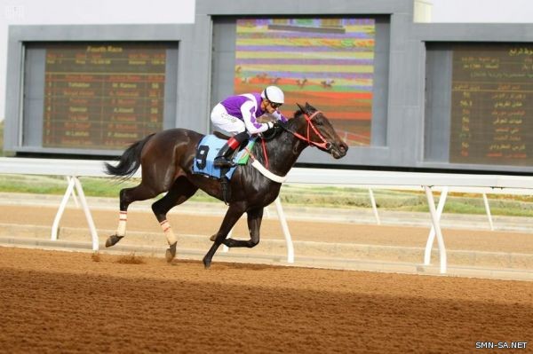 نادي الفروسية يقيم حفل سباقه الثالث ضمن موسم سباقات الخيل للمصيف بالطائف