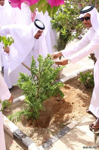 بلقرن .. مهرجان للعنب وشارع الإبداع و١٦ متحف و١٧ منتزه جاهزة للزيارة