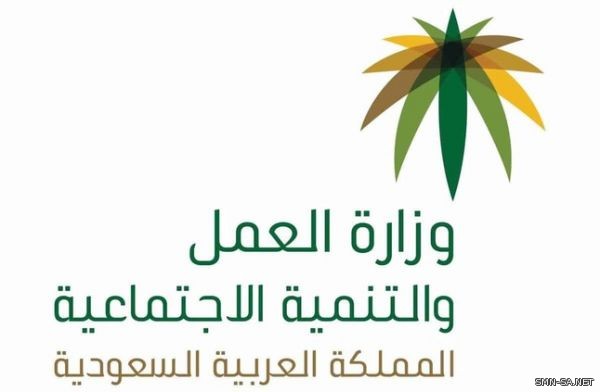 العمل والتنمية الاجتماعية تعقد ورشة عمل لتعريف القطاع الخاص باشتراطات توطين منافذ البيع في 12 نشاط اقتصادي